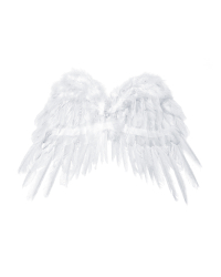 Angel's wings, white, 53 x 37cm