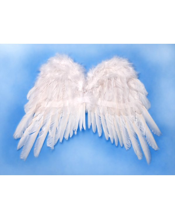 Angel's wings, white, 53 x 37cm