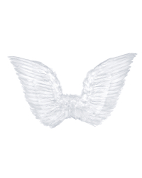 Angel's wings, white, 75 x 45cm