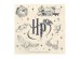 Обложка книги «Paper napkins Harry Potter, 33x33 cm, beige (1 pkt / 20 pc.)»
