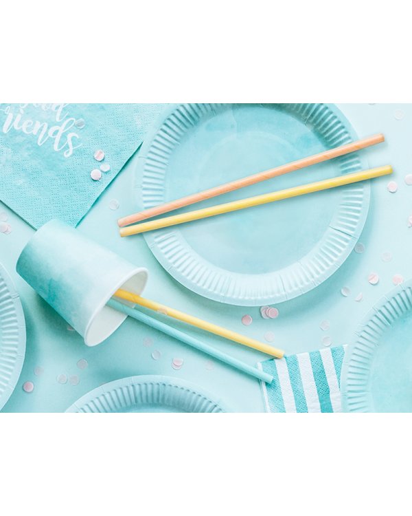 Paper straws Summer time, 19.5cm (1 pkt / 10 pc.)