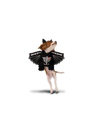 Bat Dog Costume, 45x35cm