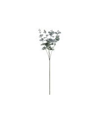 Eucalyptus branch, 60 cm
