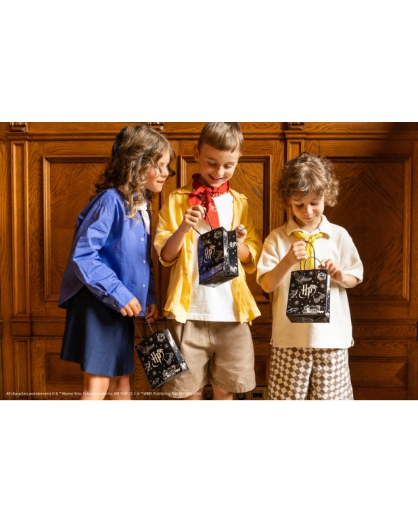 Дополнительное изображение книги «Paper gift bags Harry Potter, 12x15.5x6 cm, black (1 pkt / 6 pc.)»