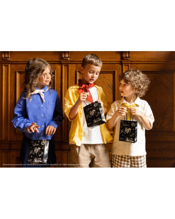 Дополнительное изображение книги «Paper gift bags Harry Potter, 12x15.5x6 cm, black (1 pkt / 6 pc.)»