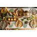 Plates Safari spots, 23 cm, mix (1 pkt / 6 pc.)