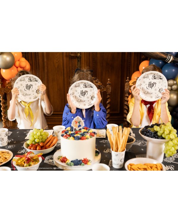 Дополнительное изображение книги «Paper plates Harry Potter, 23 cm, beige (1 pkt / 6 pc.)»