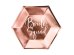 Plates Bride squad, rose gold, 23cm (1 pkt / 6 pc.)