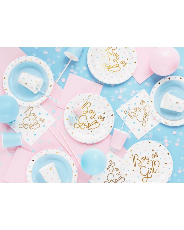 Plates Boy or Girl, 23 cm. (1 pkt / 6 pc.)