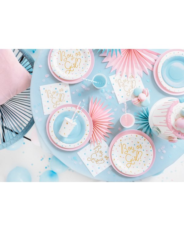 Plates Boy or Girl, 23 cm. (1 pkt / 6 pc.)