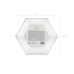 Plates 30th Birthday, gold, 20cm (1 pkt / 6 pc.)
