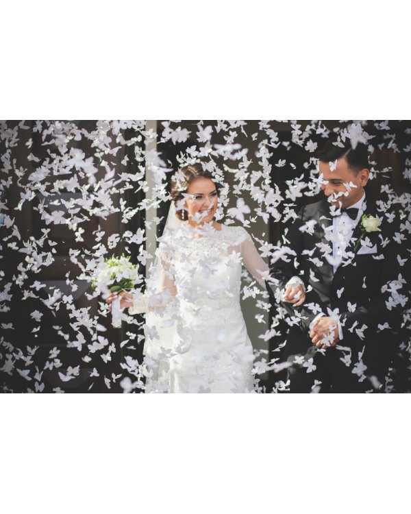 Confetti cannon with butterflies, white, 80cm