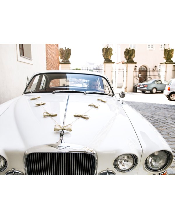 Car decoration kit - Bows