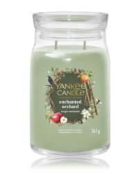 Yankee Candle Enchanted Orchard Ароматическая Свеча 567g