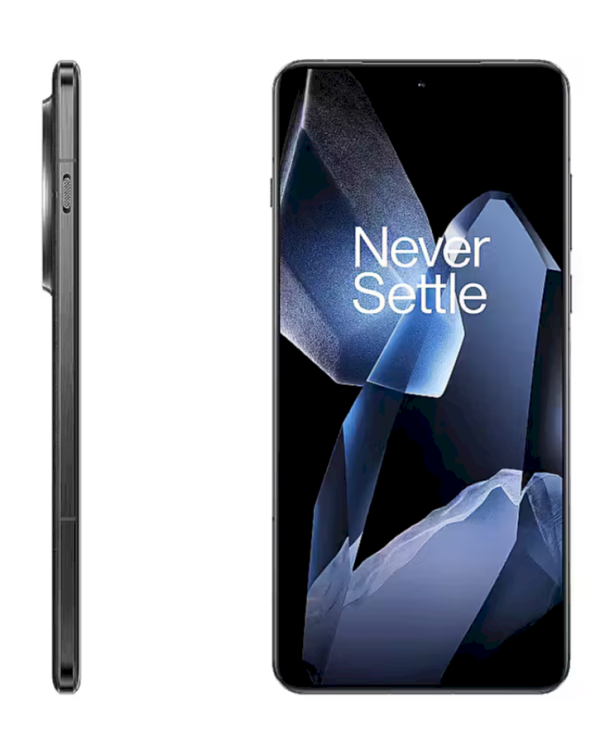 OnePlus 13 Смартфон 12 GB / 256 GB / 5G / Чёрный