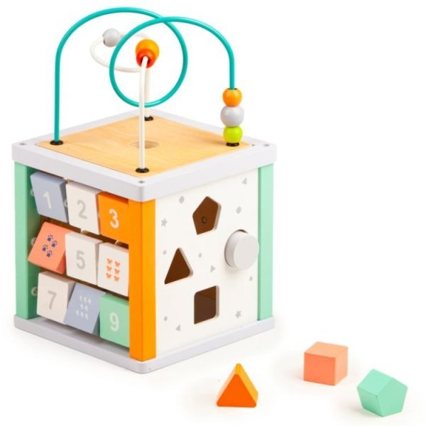 Обложка книги «EcoToys 5в1 Сортировщик и лабиринты»