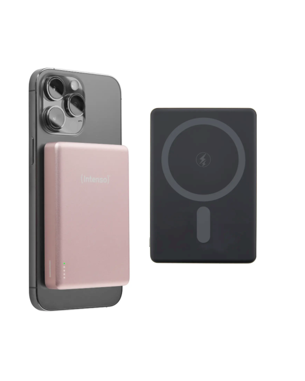 Intenso MW10000 Портативный аккумулятор 10000 mAh