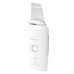 Garett Beauty Refresh Scrub white Аппарат для ультразвуковой чистки лица Garett Beauty Refresh Scrub white Аппарат для ультразвуковой чистки лица
