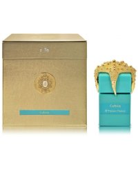 Tiziana Terenzi Cubia Парфюм PAR 100 ml