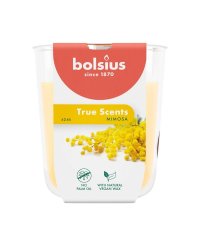 Bolsius True Scents Ароматическая Свеча 80x73mm Mimosa