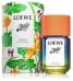 Loewe Paula's Ibiza Eclectic Парфюм EDT 100 ml