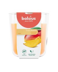 Bolsius True Scents Ароматическая Свеча 97x85mm Mango