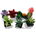 LEGO 10309 Succulents Конструктор LEGO 10309 Succulents Конструктор