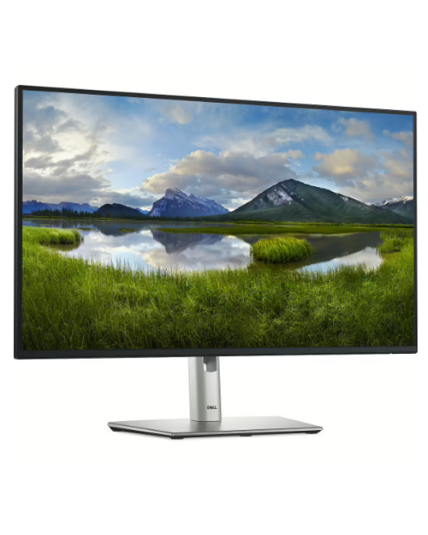 Dell P2425H Монитор 23.8"