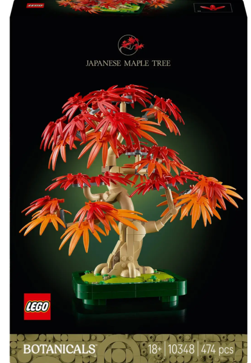 LEGO Botanicals 10348 Конструктор
