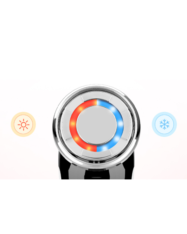 ANLAN 01-ADRY11-001 EMS массажер для лица