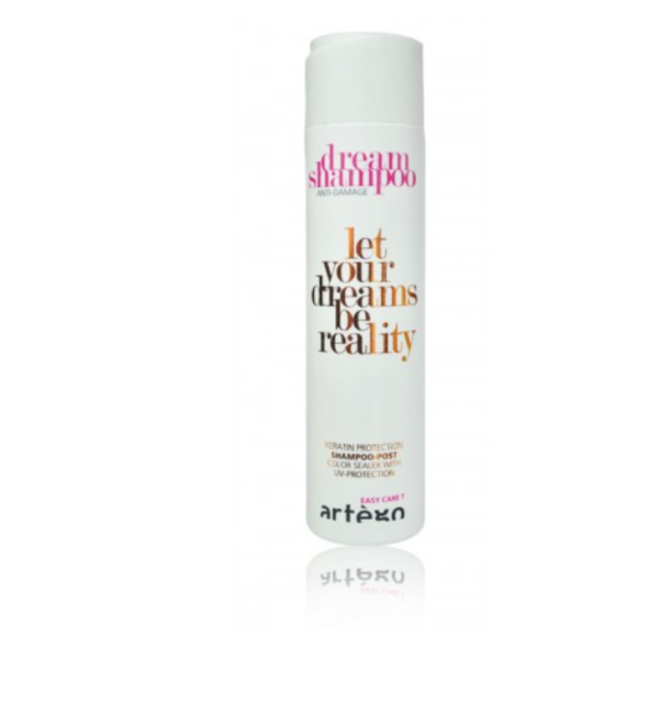 Artègo Easy Care T Dream Шампунь 250 ml
