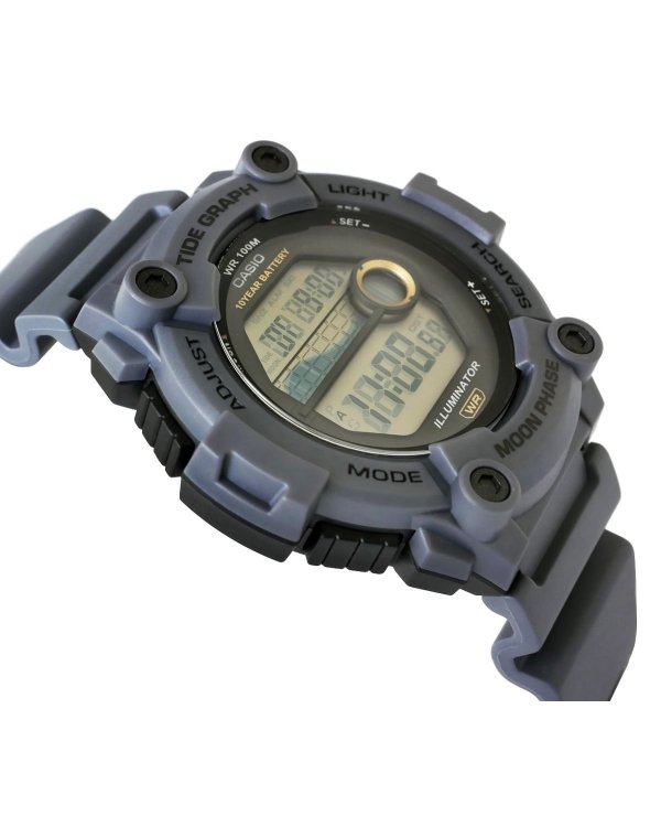 CASIO WS-1300H-8AVEF Часы