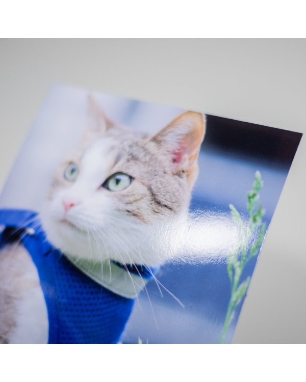 Дополнительное изображение книги «TFO Фото Бумага 10x15 / 260g/m2 / 25шт. (high glossy)»