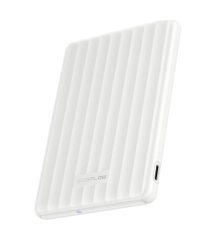 EcoFlow EF-RAPIDQI1-5K-W-EU Портативный аккумулятор 5000mAh