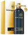 Montale Oudyssee Парфюм EDP 100 ml
