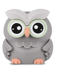 Setty YS011-12 Копилка со счетчиком Сова