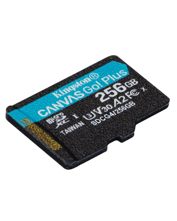 Kingston Canvas Go Plus MicroSDXC Карта памяти 256GB