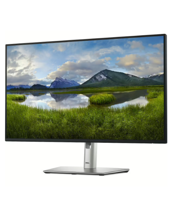 Dell P2425H Монитор 23.8"