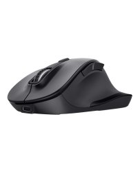 Trust 25708 Беспроводная Компьютерная мышь