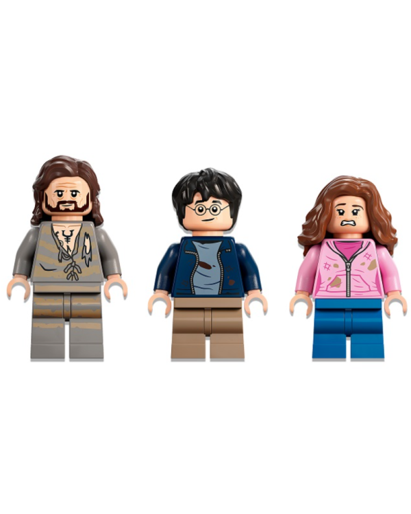 LEGO 76401 Harry Potter Hogwarts Sirius' Rescue Конструктор