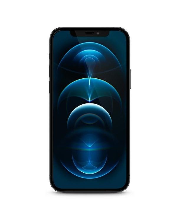 Guess GUSPP12LSLTR Vintage Magic Logo Tempered Glass Защитное стекло для Apple iPhone 12 Pro Max