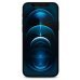 Guess GUSPP12LSLTR Vintage Magic Logo Tempered Glass Защитное стекло для Apple iPhone 12 Pro Max