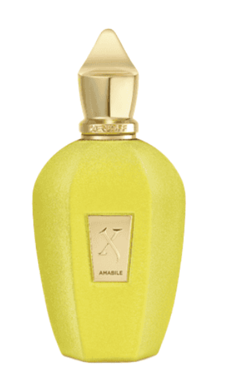 Xerjoff Amabile Парфюм EDP 100ml Tester
