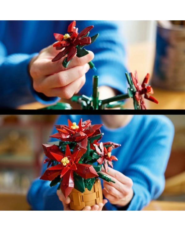 LEGO 10370 Poinsettia Конструктор
