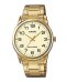 CASIO MTP-V001G-9BUDF Мужские часы