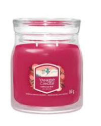 Yankee Candle Santa On Skis Ароматическая свеча 368 g