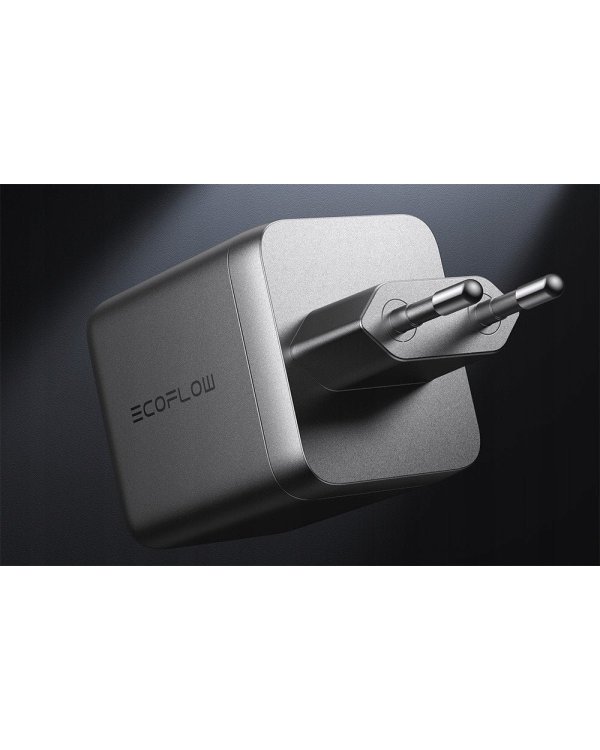 EcoFlow RAPID PRO/100W Зарядное устройство