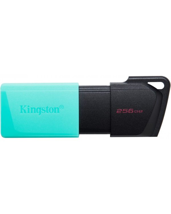 Kingston DataTraveller Exodia M 256GB Флэш-память