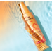 Nuxe Sun Delicious Sun Spray Cолнцезащитный сCпрей для лица и тела 150ml