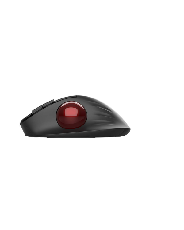 Дополнительное изображение книги «Delux MT1 DB Ergonomic Беспроводная Компьютерная Мышь»